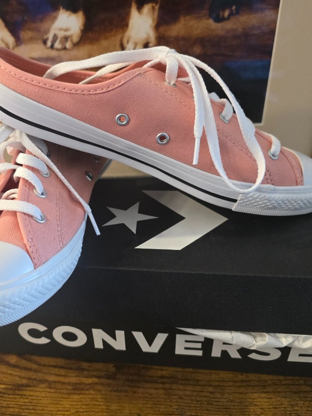 Converse Chuck Taylor Dainty Mule Pink Quartz 570922C Shoes Women's Sz 6 US NEW